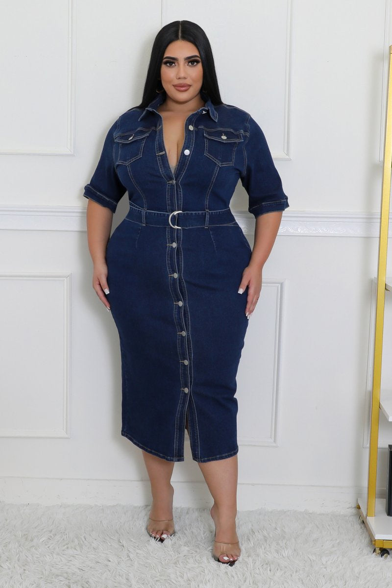 Plus Size Scoping It Out Dress