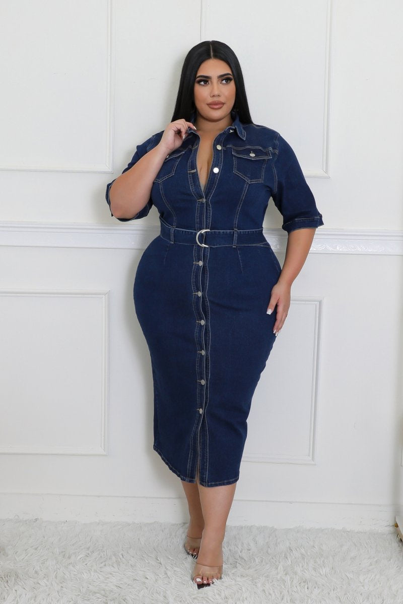 Plus Size Scoping It Out Dress