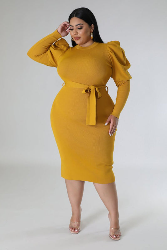 Plus Size Lush Days Dress