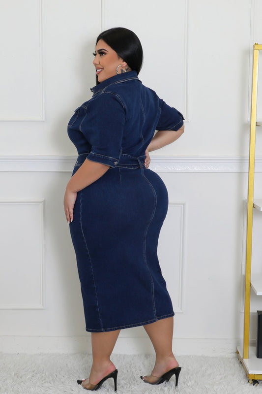 Plus Size Scoping It Out Dress