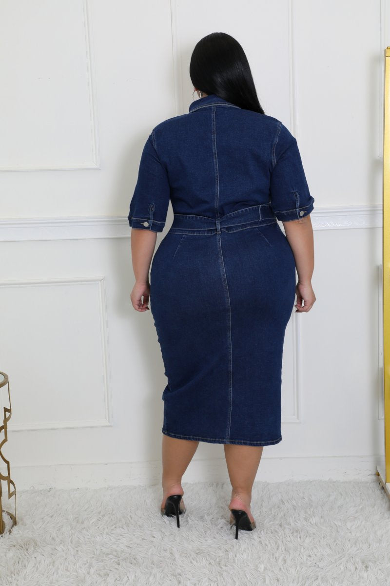 Plus Size Scoping It Out Dress