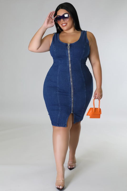 Plus Size Lisa Dress