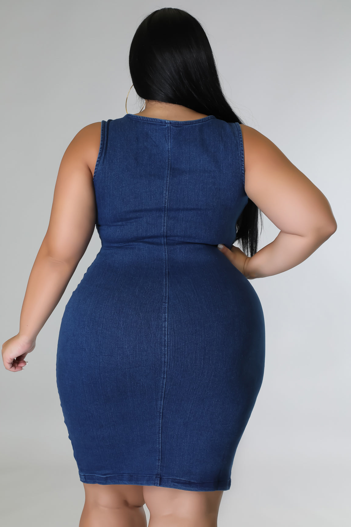 Plus Size Lisa Dress