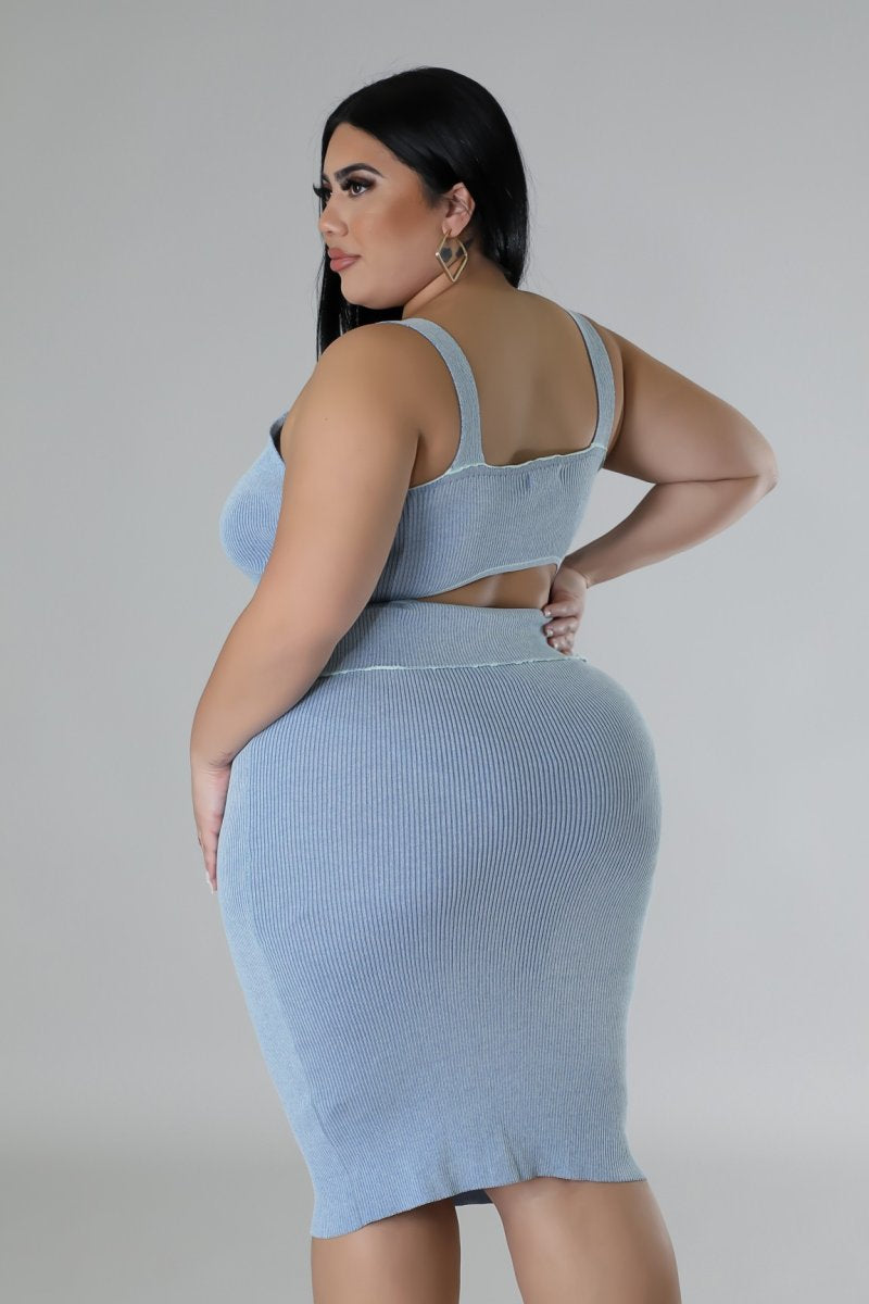 Plus Size Spring Harmony Bodysuit Skirt Set