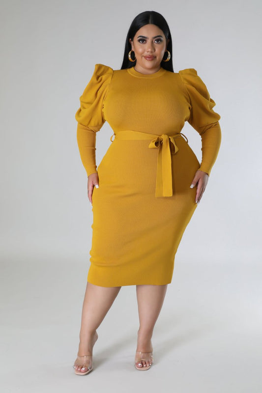 Plus Size Lush Days Dress