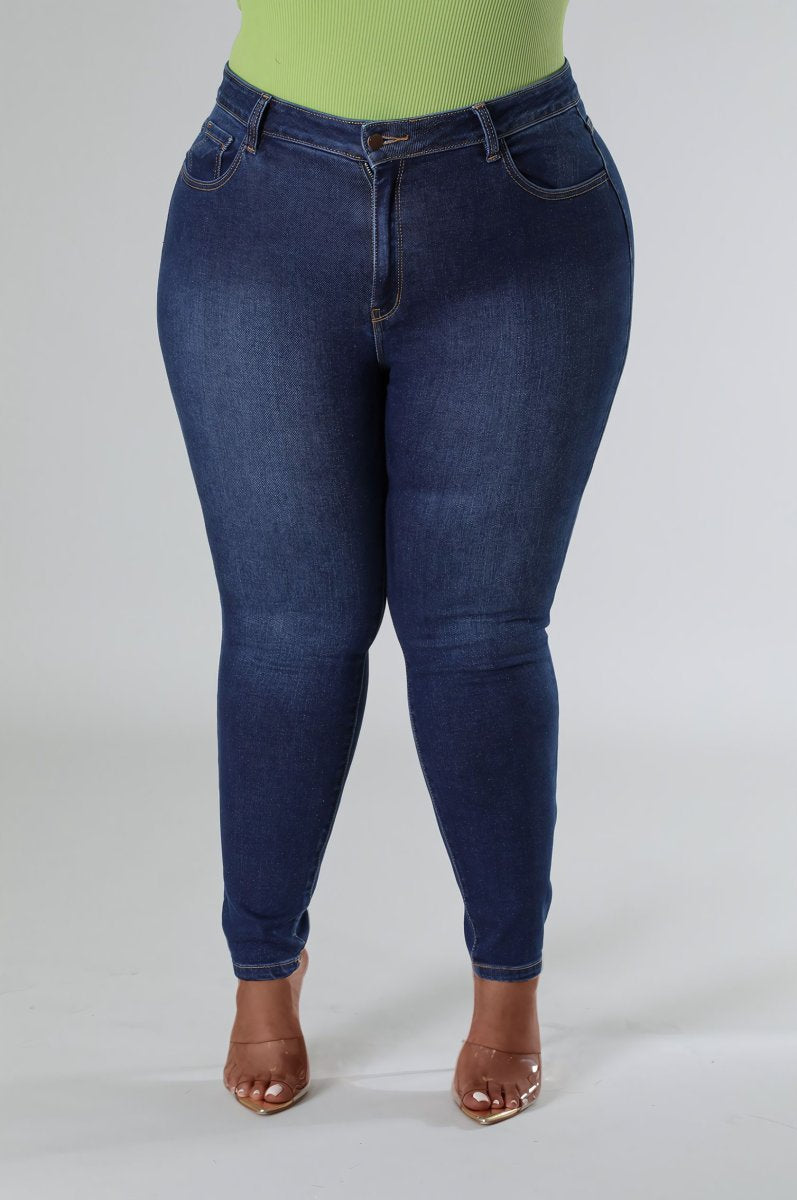 Plus Size Got It All Jeans