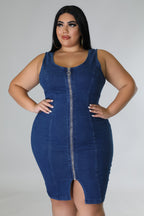 Plus Size Lisa Dress